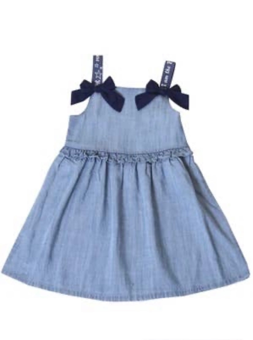 Chambray Dress